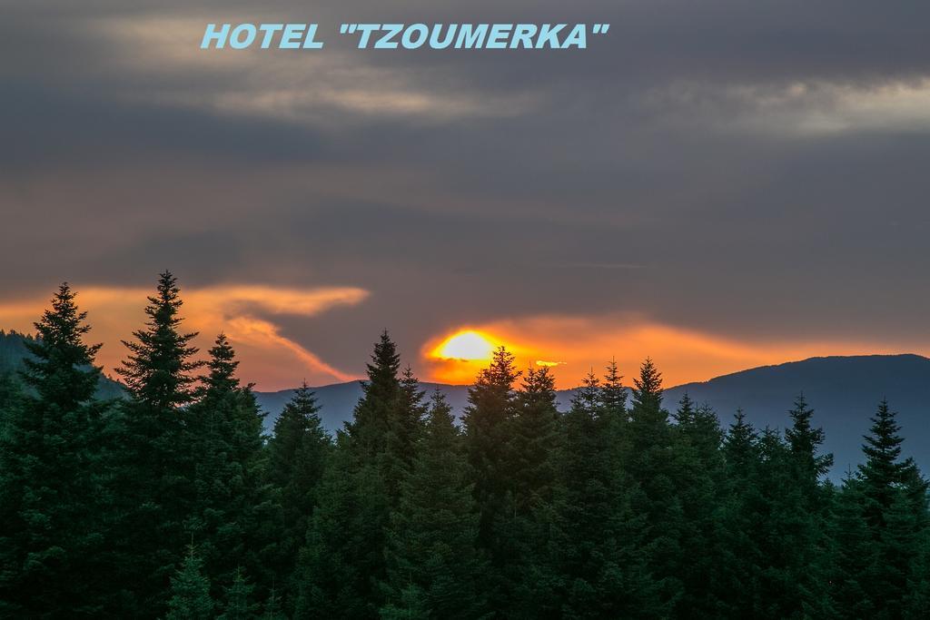 Hotel Tzoumerka 普拉曼塔 外观 照片